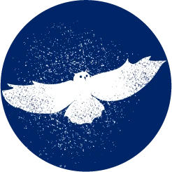 Flydende Ugle Illustration fra Dark Sky Møn og Nyord