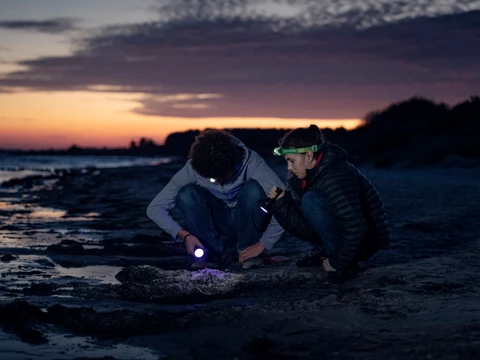Dark Sky og Ravjagt på Møn