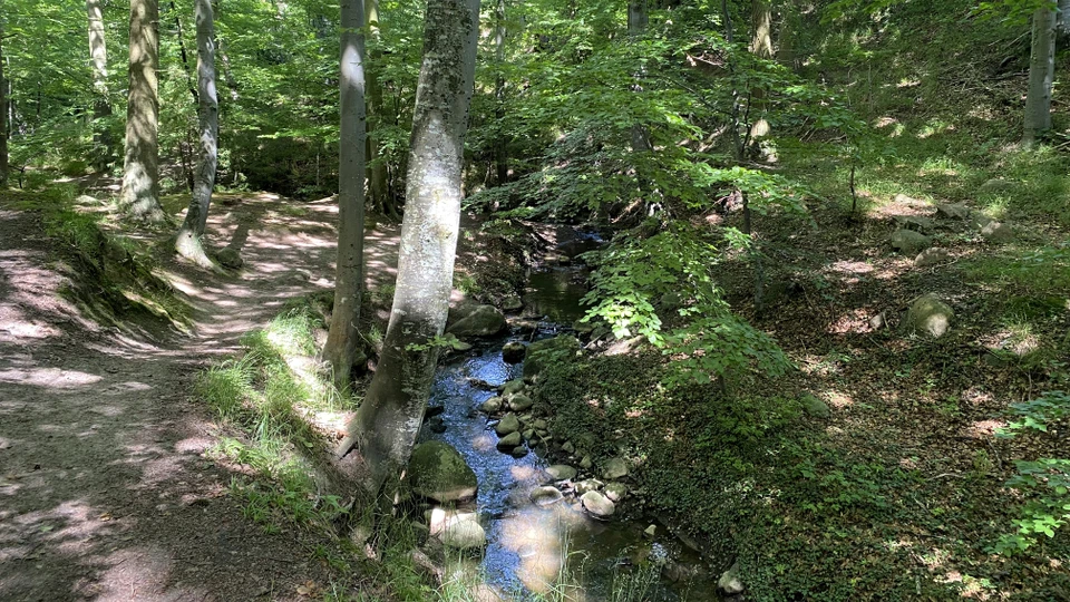 Sti og vandløb ved Mallings Kløft