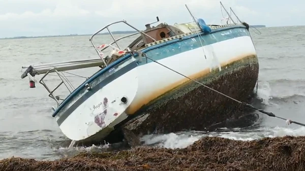 Billede af en båd, der ligger i vandkanten